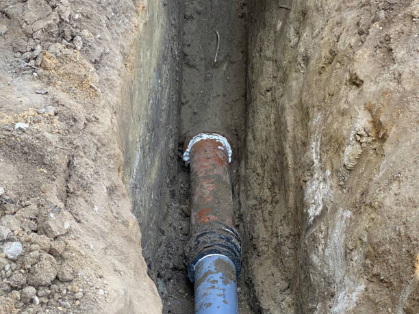 Best Sewage cleanup and water damage restoration  in Demopolis, AL
